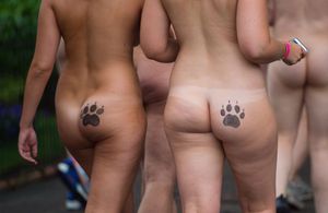 london zoo streak for tigers 2016