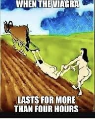 Hard enough dick to plow anything