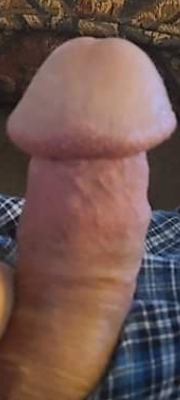 I love to show my dick.