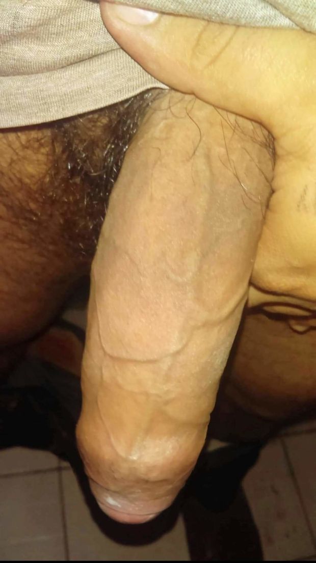 A Latin Penis