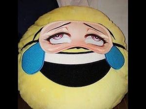 lolnowtf Picture