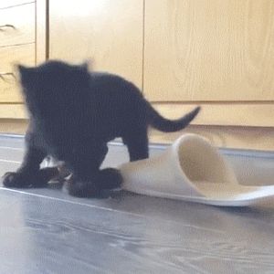 SlutBunny got this from a friend. It's too cute not to share. From orphaned wildlife sanctuary.