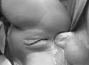 Beautiful ass getting filled with cum