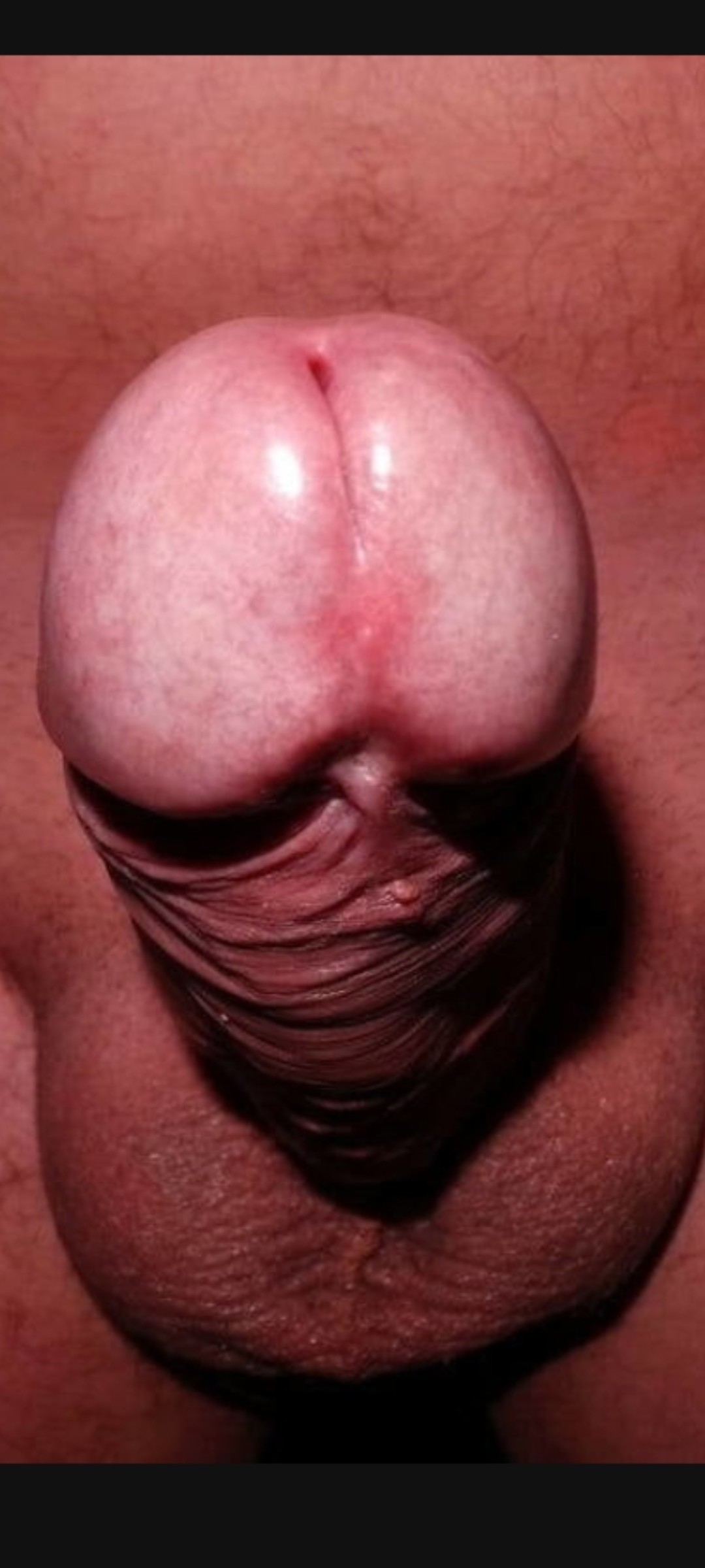 Head on view of beautiful white dick