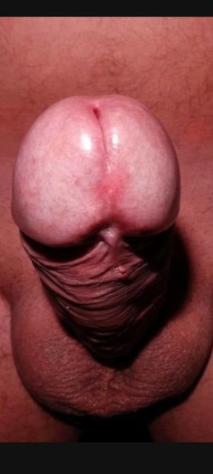 Head on view of beautiful white dick