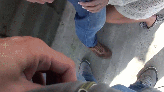 24895423.gif