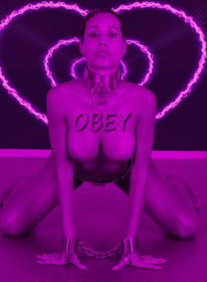 Obey