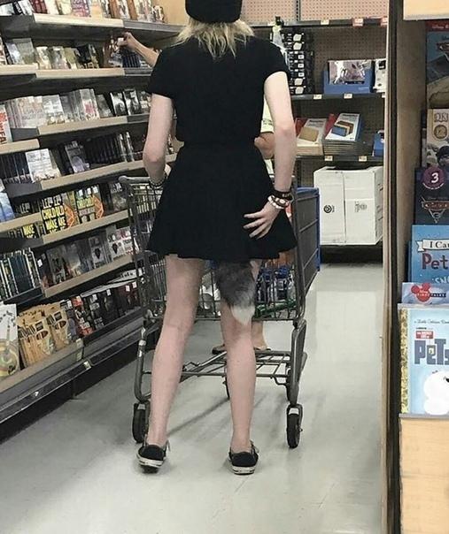 Shopping with my tail