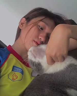 Asian Vietnamese Cat