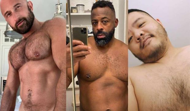 gay bear