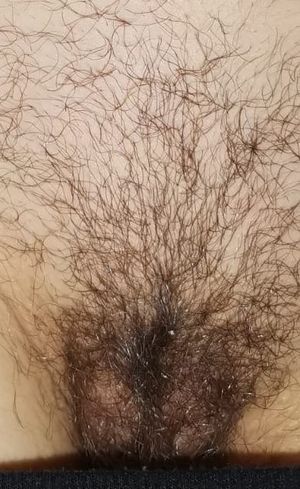 Delicious hairy pussy