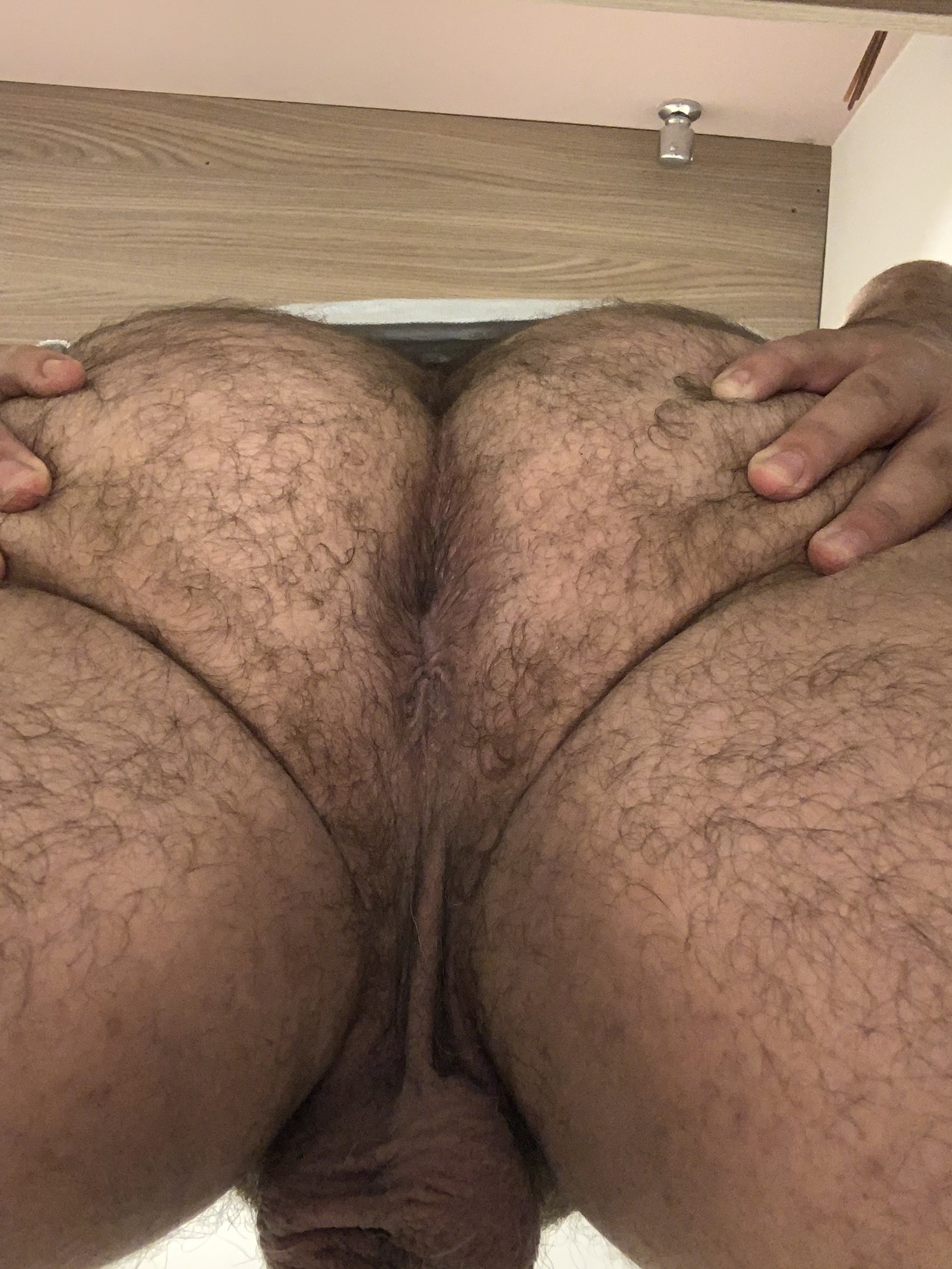 My ass... waiting to be filled with your cum...