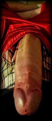 Morning Wood