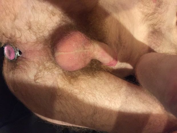 buttplug cock bod