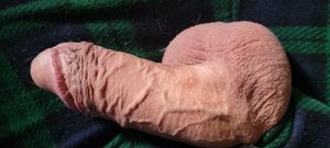 Shaved it all off again!