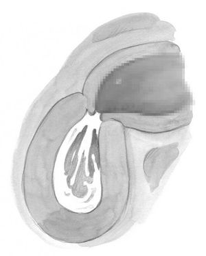 The mutt slammed deep and starting shaking. She groaned and fucked him back.