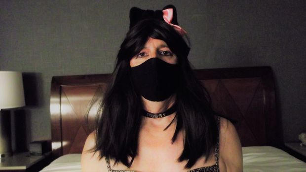 sexy kitten