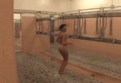 prance in showers