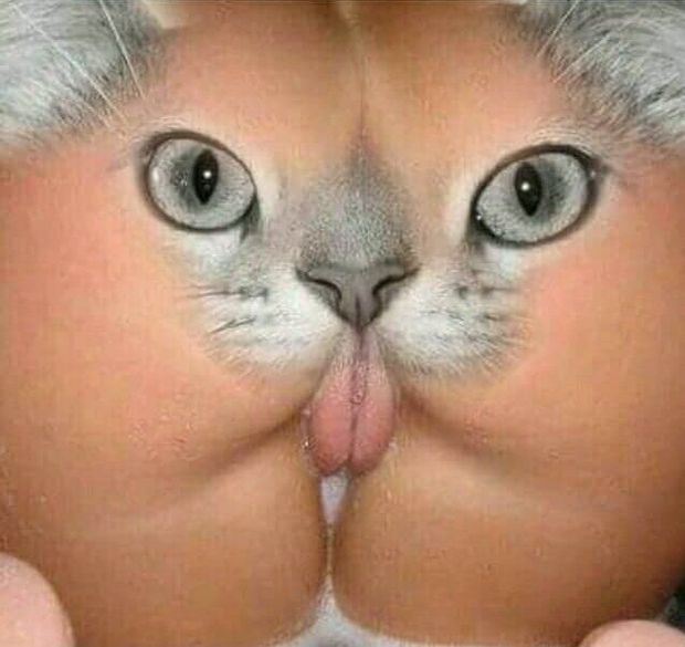 Pussy face