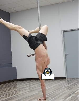 me pole without tshit