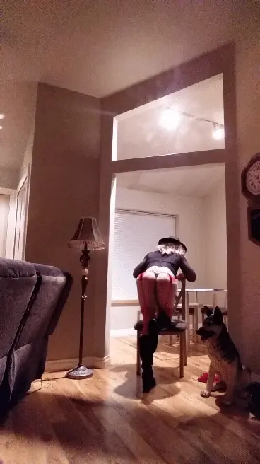 Jenna Bliss the tease 2