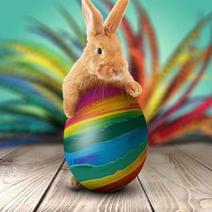 It's Easter time. ❤️