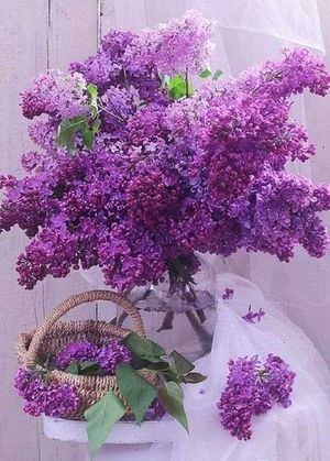 Happy Easter. ❤️