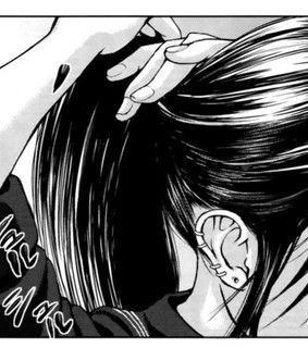 Manga ponytail