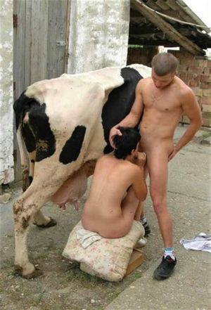 Perverted & Anomalies. ❤️