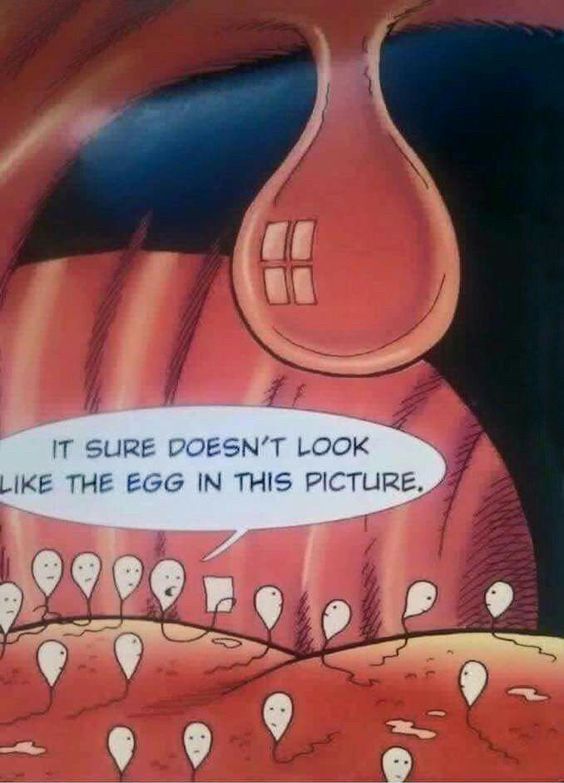 Lost sperm
