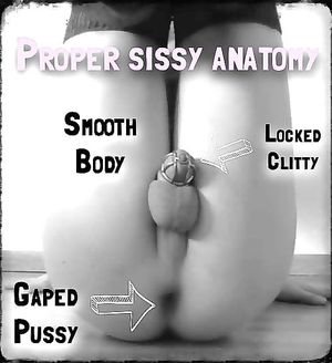 Proper sissy anatomy