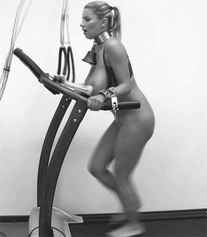 For bredding boobs & fat ass