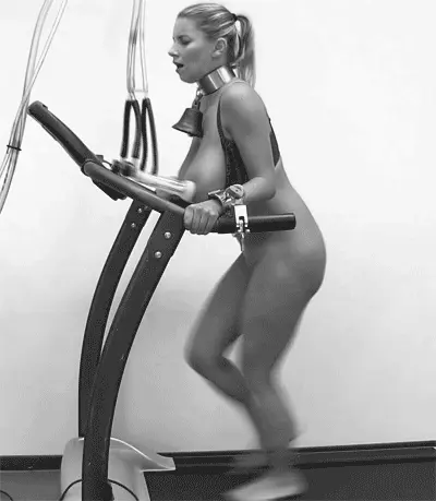 For bredding boobs & fat ass