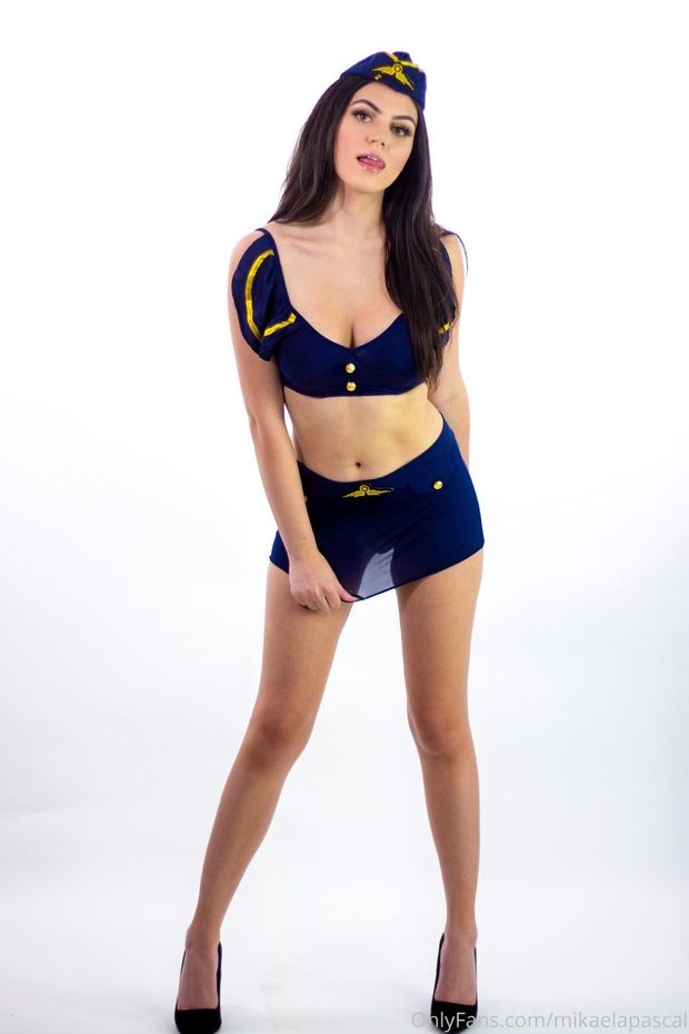 sex flight attendant costume