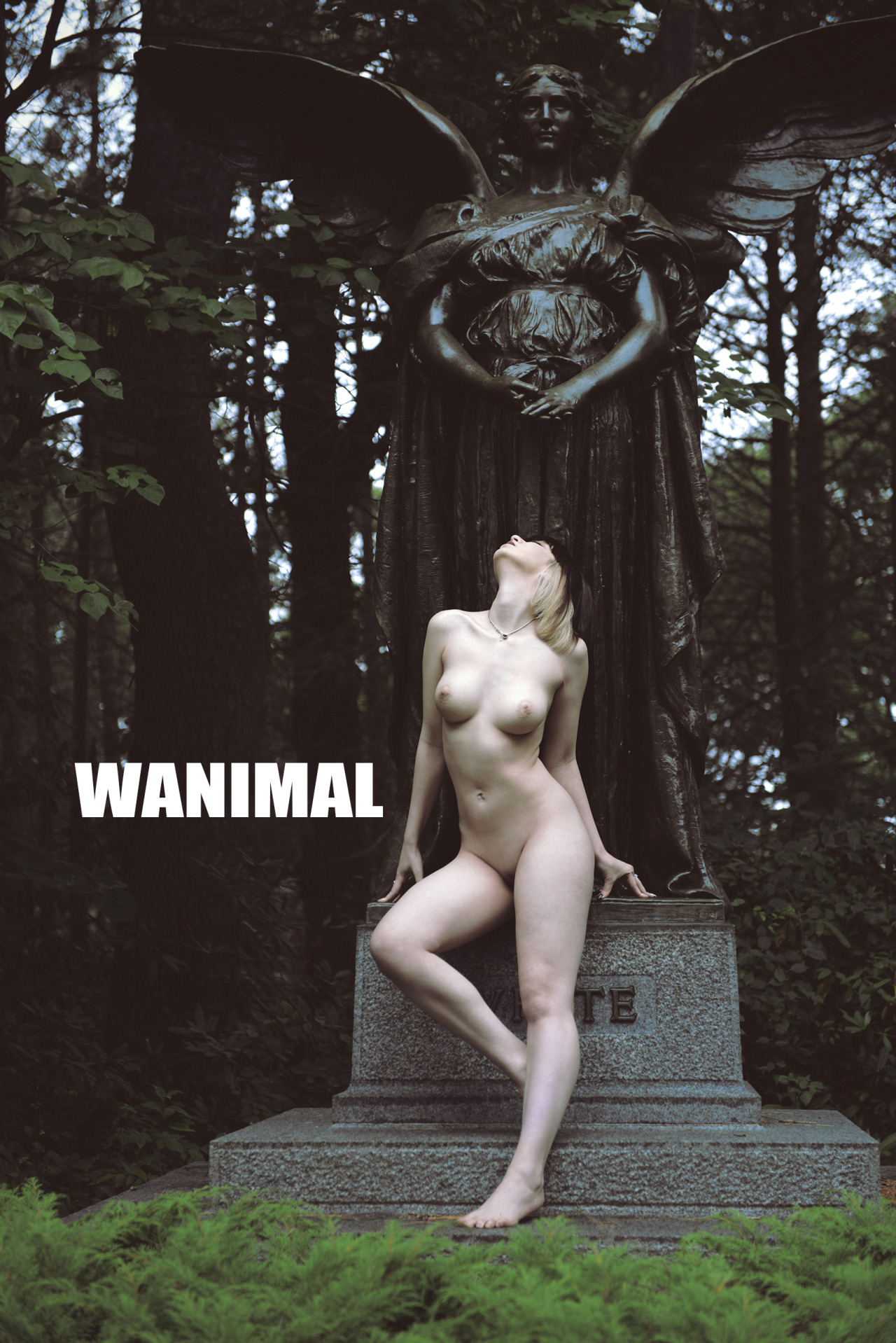 wanimal art_tumblr