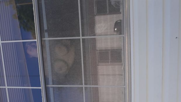 Wife flashing the neighbor and me
