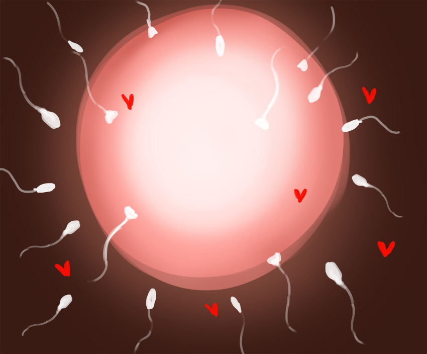 Fertilization