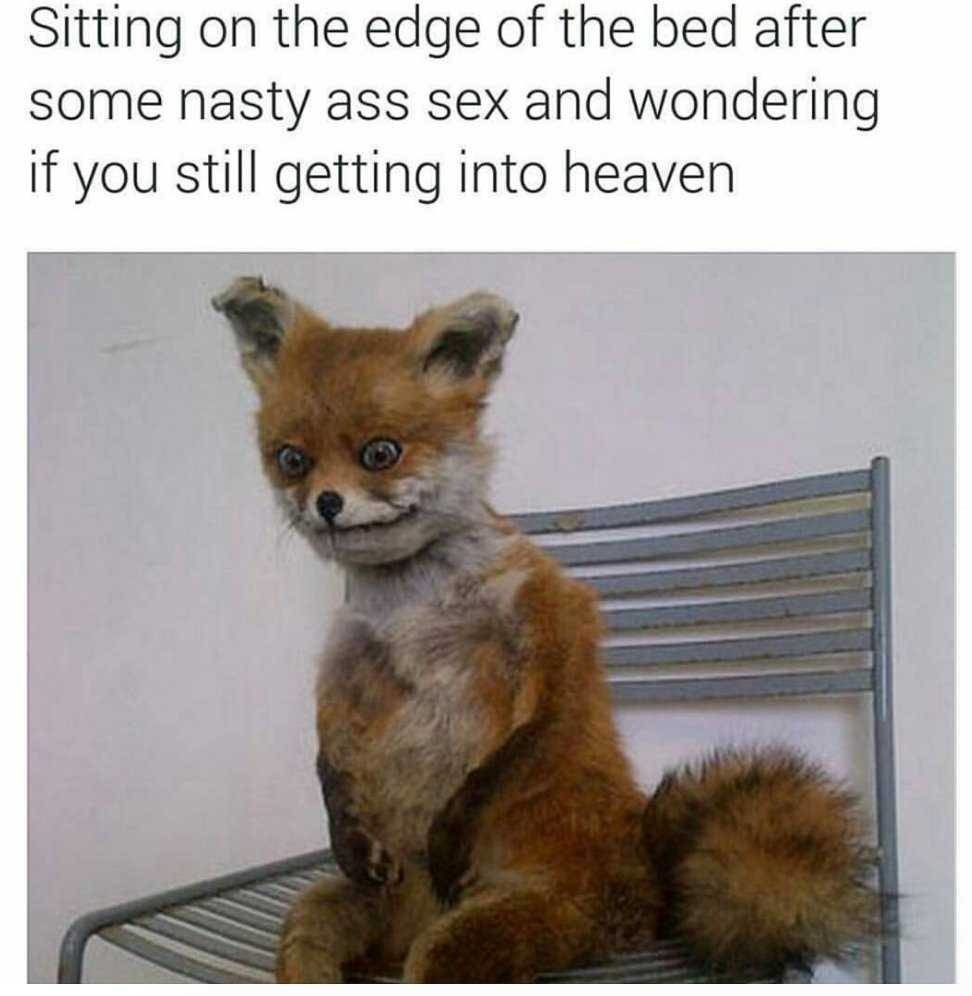 Wondering