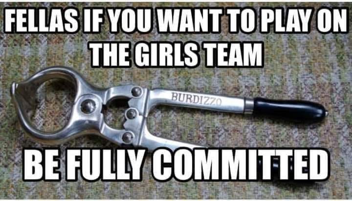 Advice for sissies