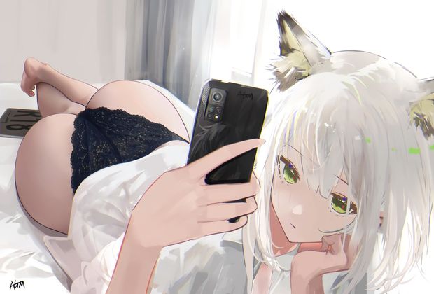 Cat pantys