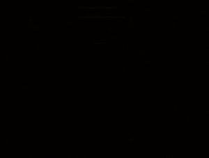 013 - ma douce et gentil femme