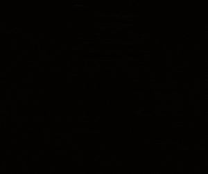 011 - oui, il aime beaucoup