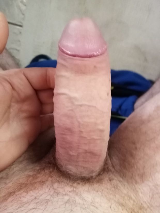 Il mio pene