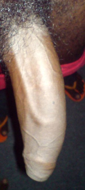 Beautiful black cock