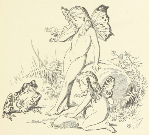 Fairies and Frog