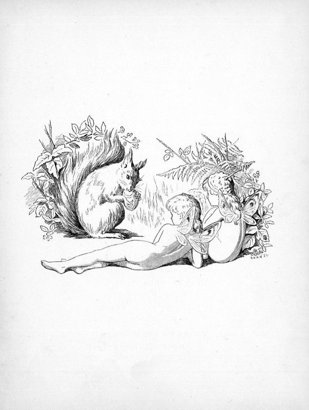 Fairies