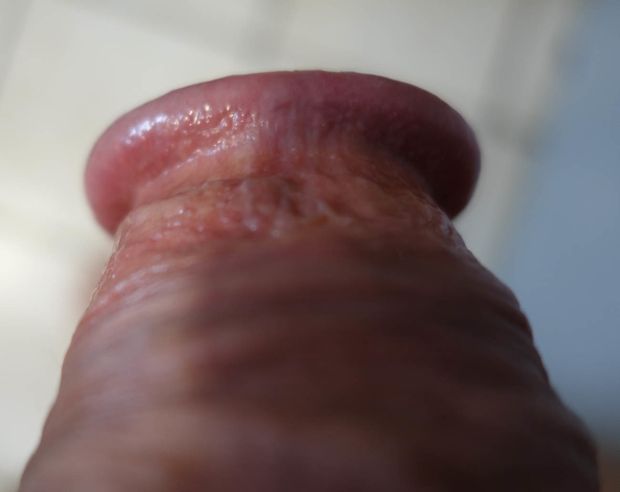 glan - gland  #