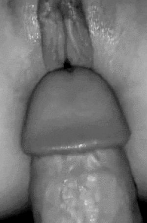Penetration.