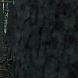 haley bennett mistaken for a h00ker