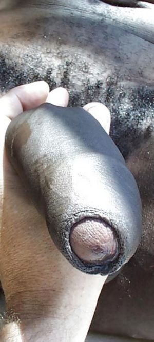 I love this view of this beautiful black cock ❤❤